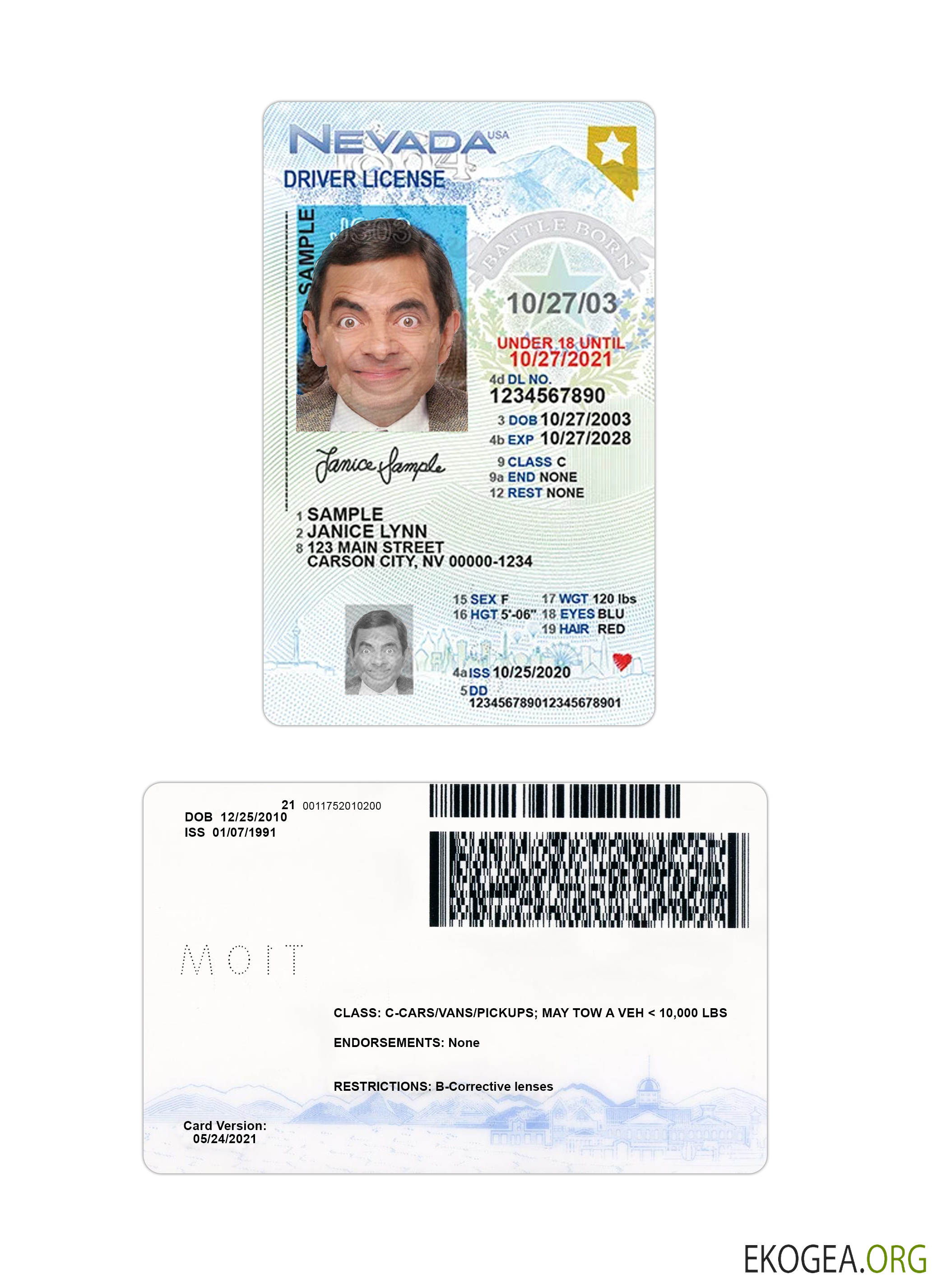 USA Nevada under 21 driving license